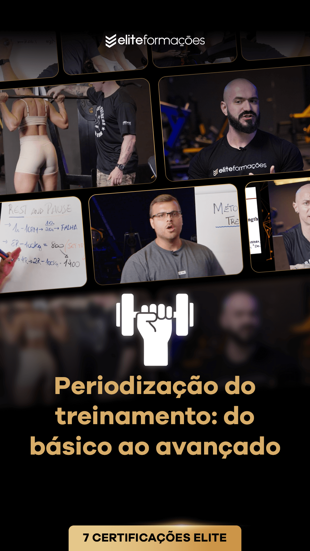 01 (1)
